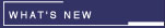 See the most recently added resources